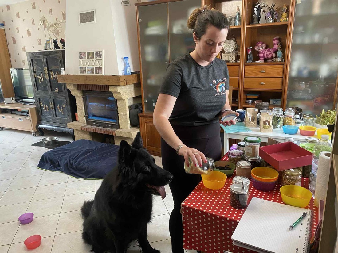Préparation des plantes de la séance sous le regard du chien