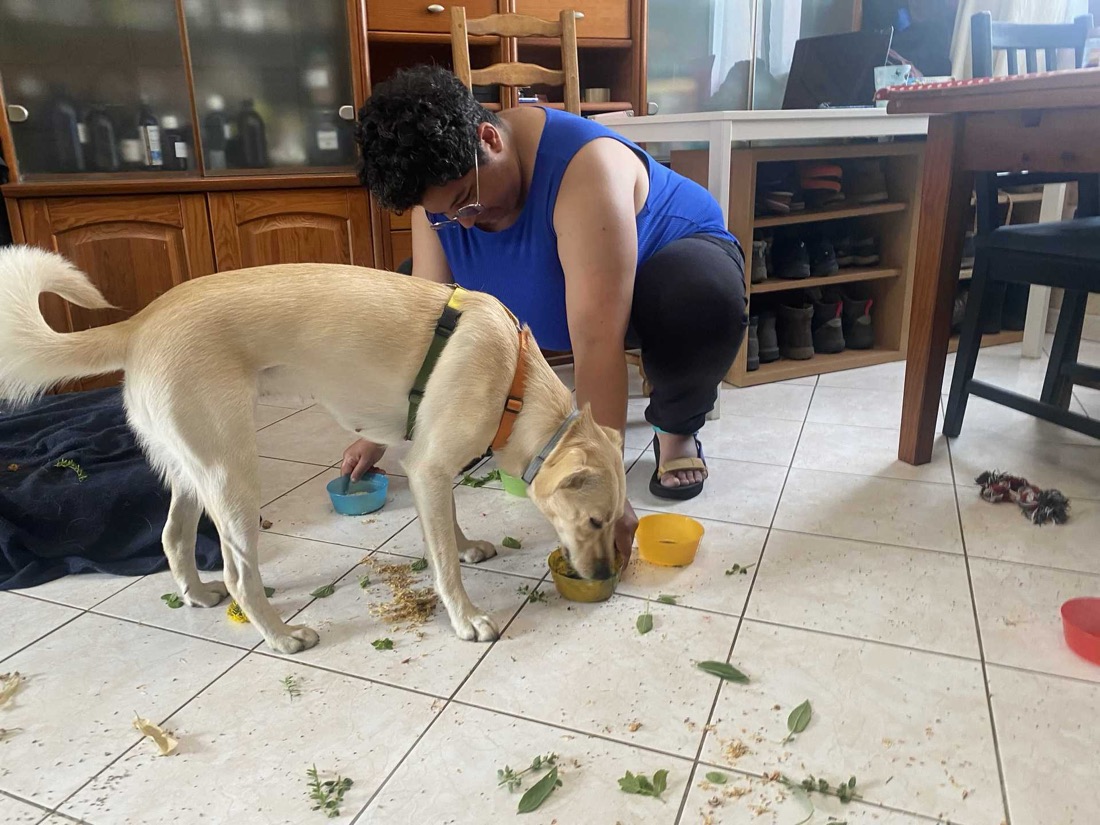 Une élève présente un contenant à un chien pendant sa séance