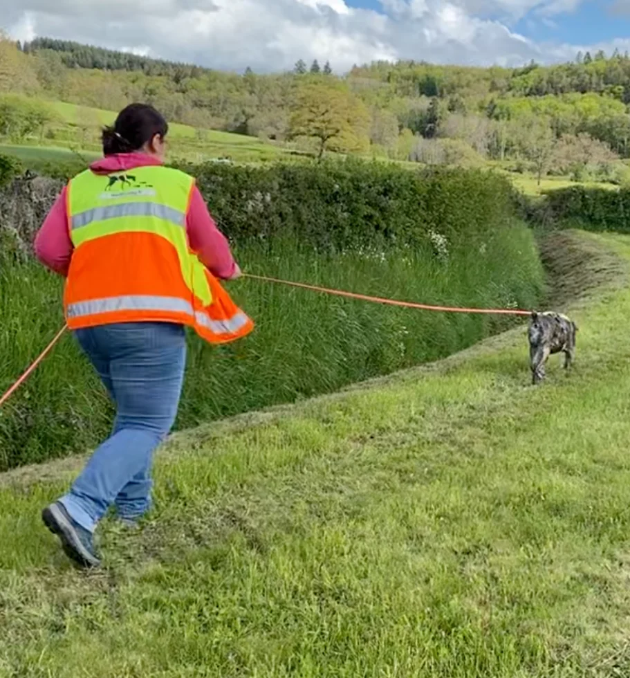 Cristina guidant un binôme sur le terrain