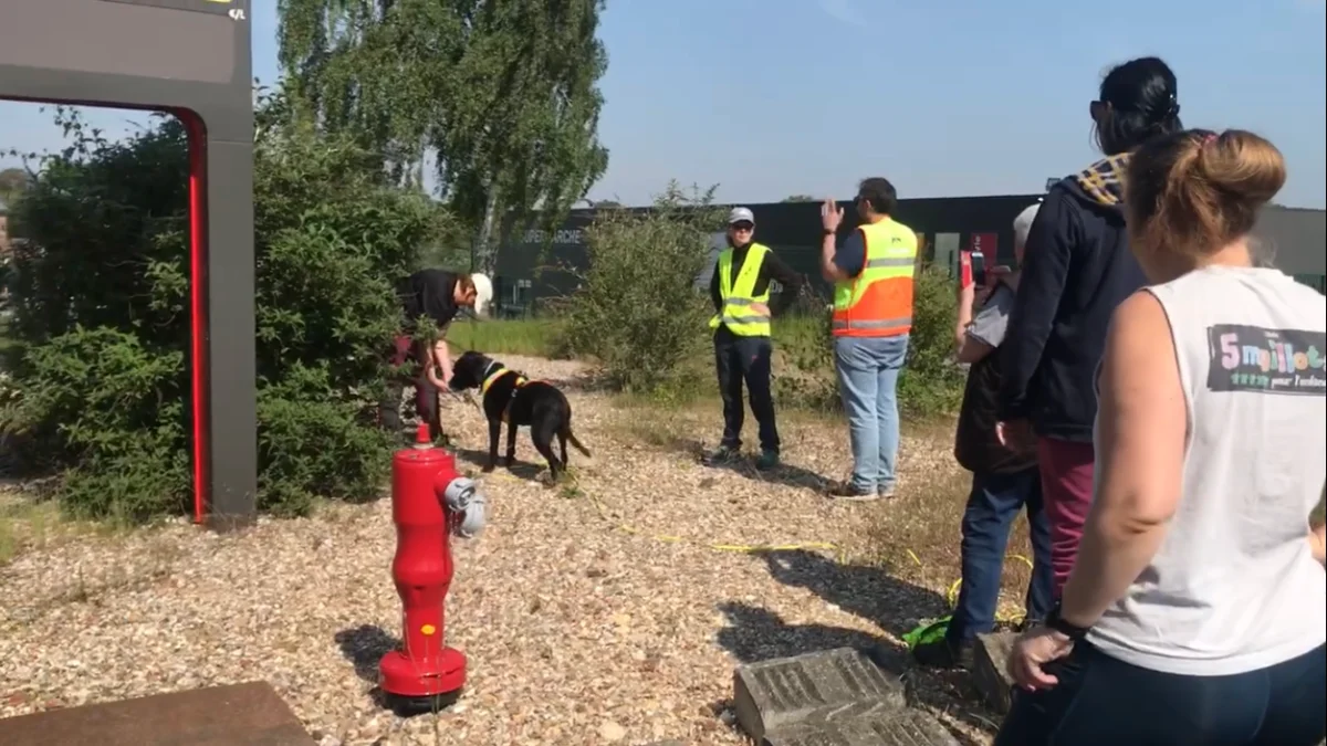 séance de terrain en groupe