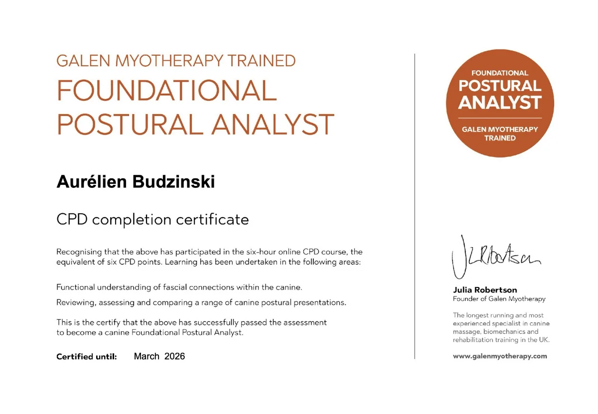 certification / diplôme